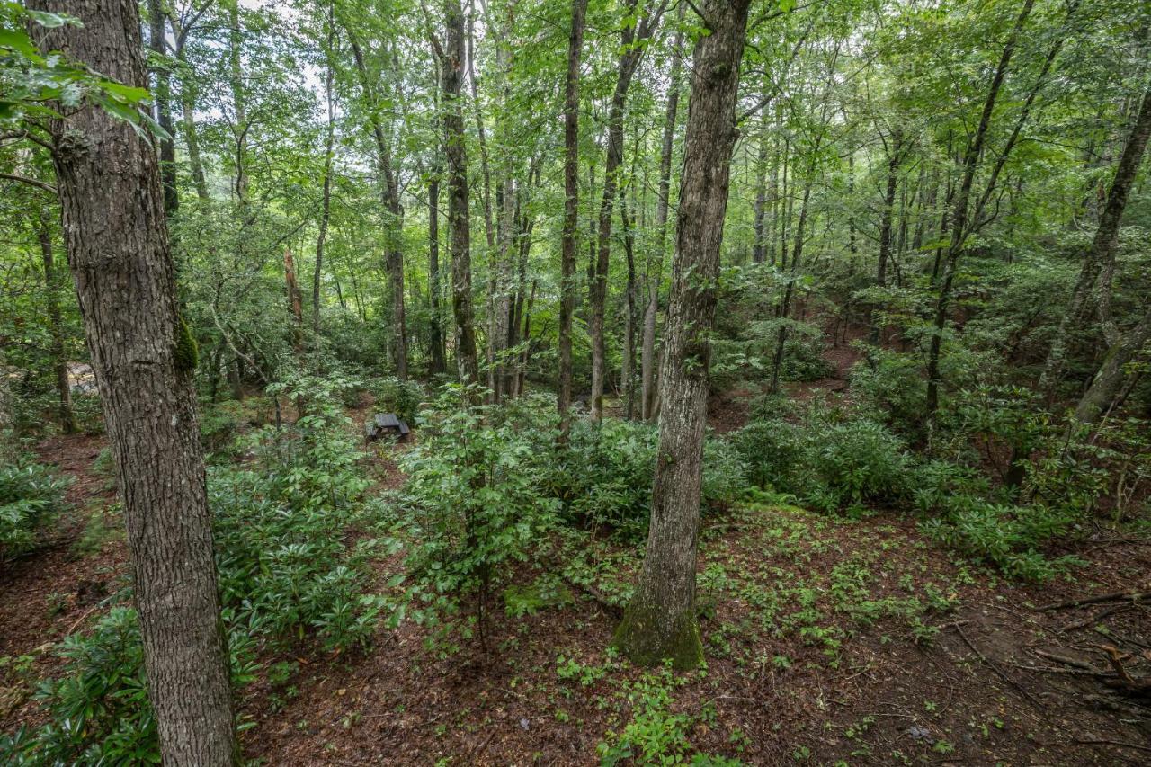 Springmaid Mountain Villa Spruce Pine Bagian luar foto