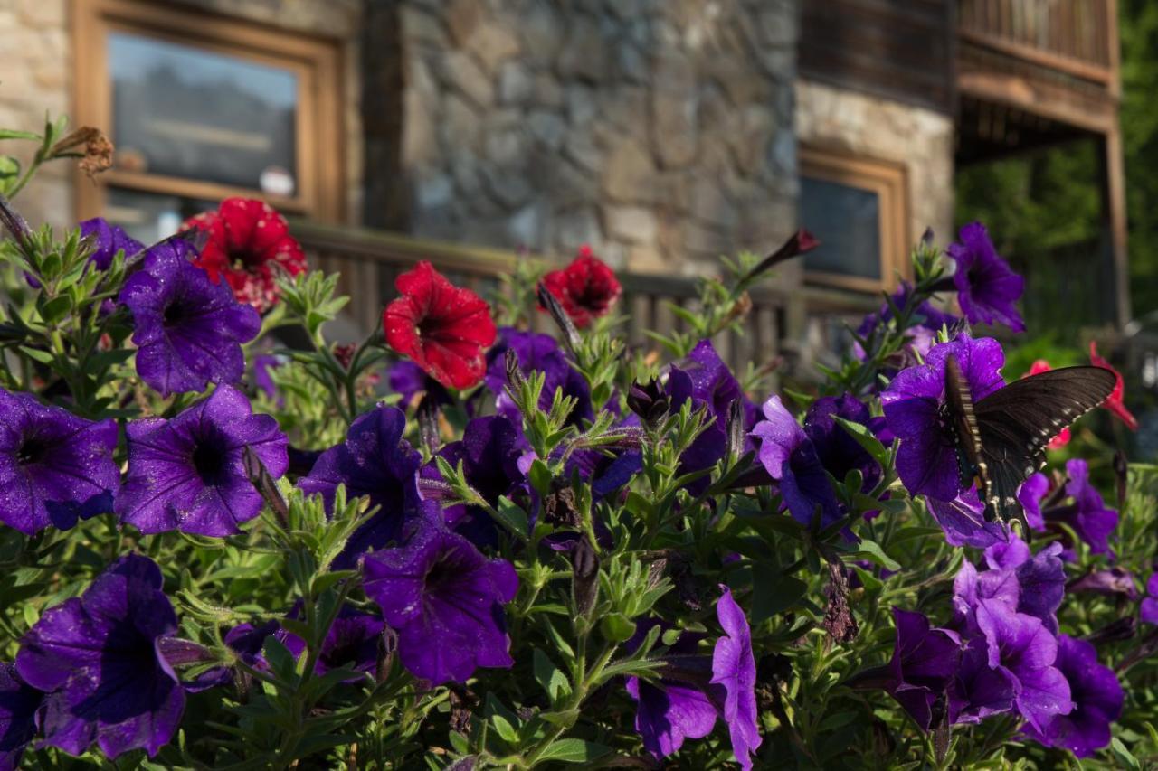 Springmaid Mountain Villa Spruce Pine Bagian luar foto